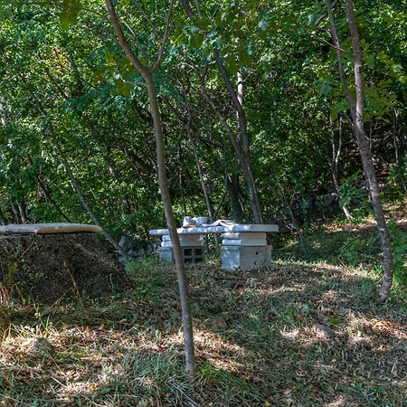Vinodol Hilltop 21 Брибир