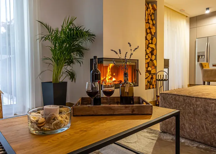 Vinodol Hilltop 21 别墅 *